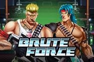 BRUTE FORCE