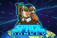 SPACE DONKEY