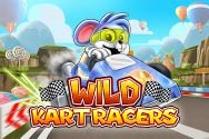 WILD KART RACERS