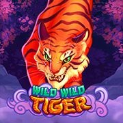 WILD WILD TIGER