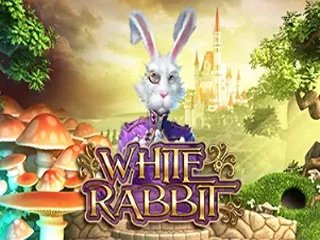 WHITE RABBIT