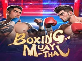 BOXING MUAY THAI