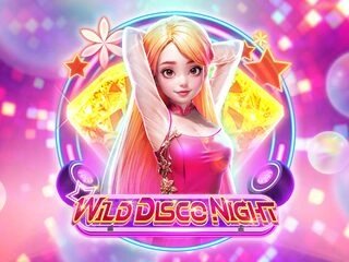 WILD DISCO NIGHT