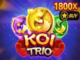 KOI TRIO