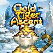 GOLD TIFER ASCENT