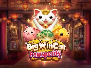 BIG WINCAT PAWSPERITY