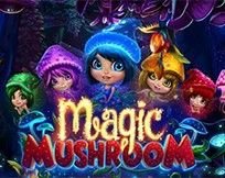 MAGIC MUSHROOM